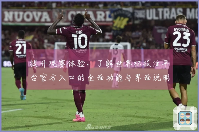 提升观赛体验，了解世界杯投注平台官方入口的全面功能与界面说明