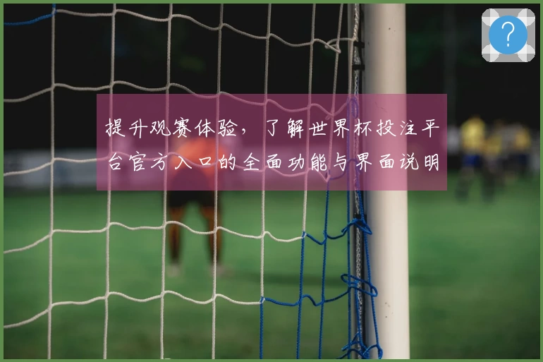 提升观赛体验，了解世界杯投注平台官方入口的全面功能与界面说明